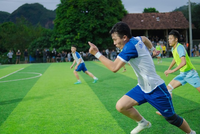 标不治本 标不治本