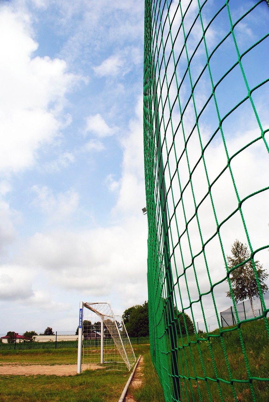 它们过多的 它们过多的