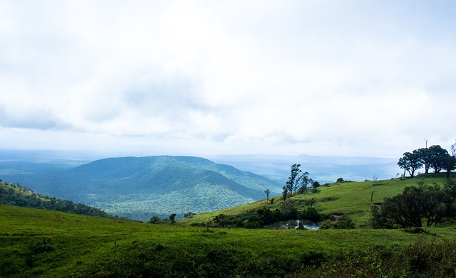 本文将聚焦 本文将聚焦